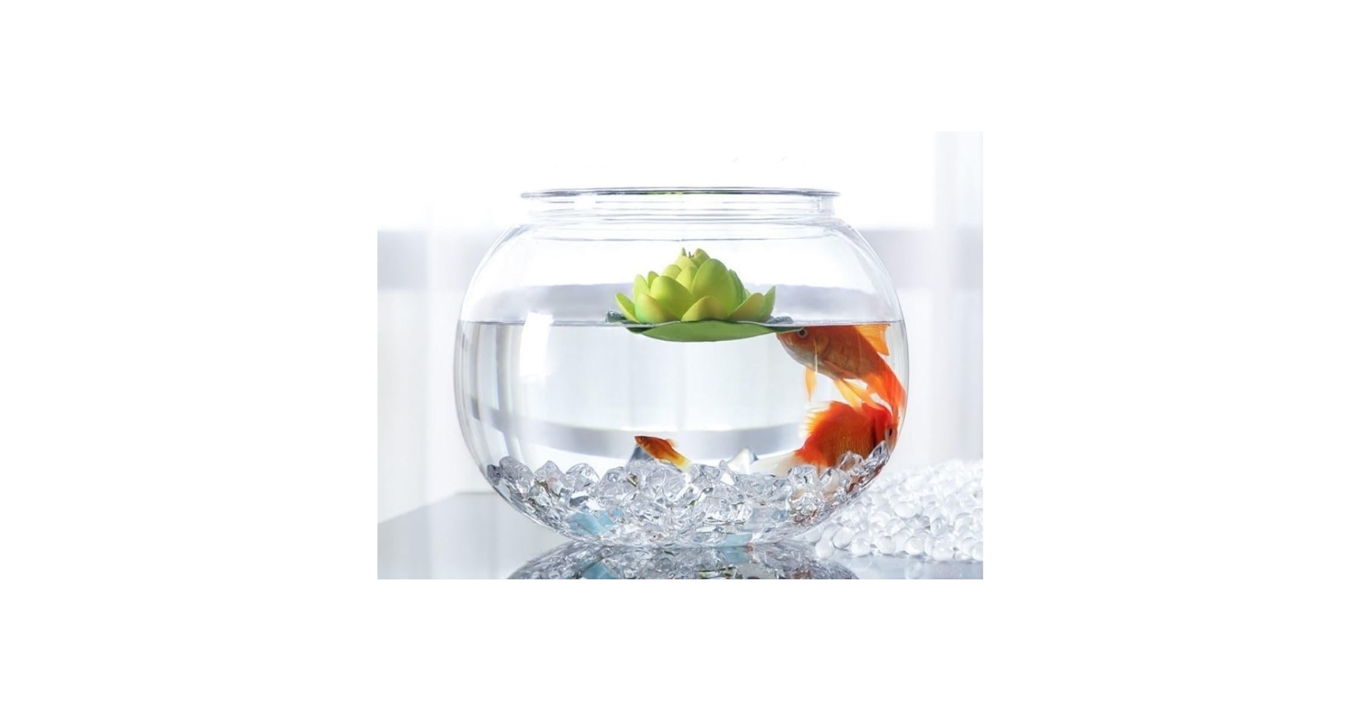 オメガ様オーダー専用ページ　アクリル金魚鉢フラワーアレンジ　大1 小4 Amazon | 金魚鉢 丸型金魚鉢 高プラスチック透明アクリル 観葉